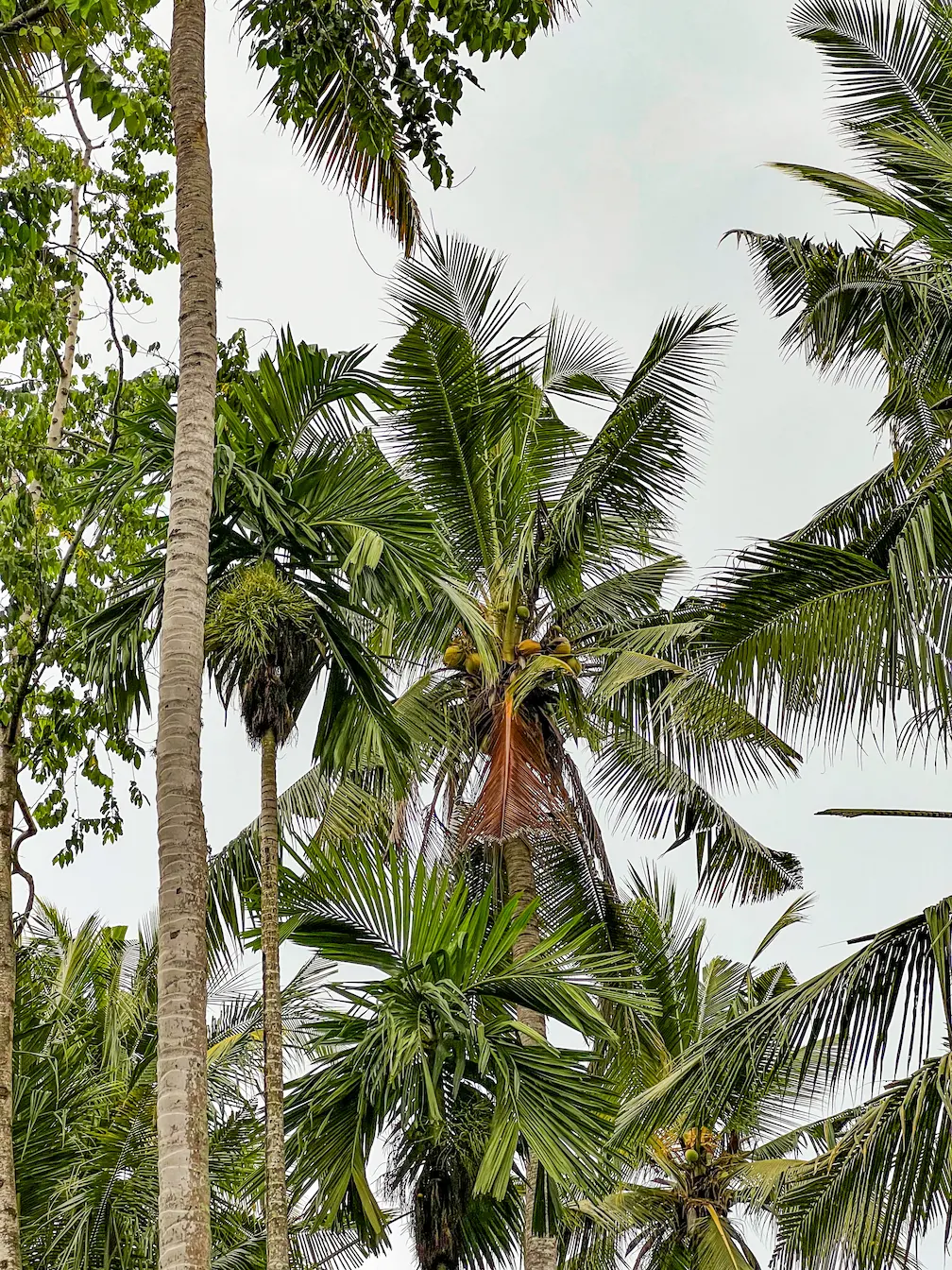 Bali, Indonesia