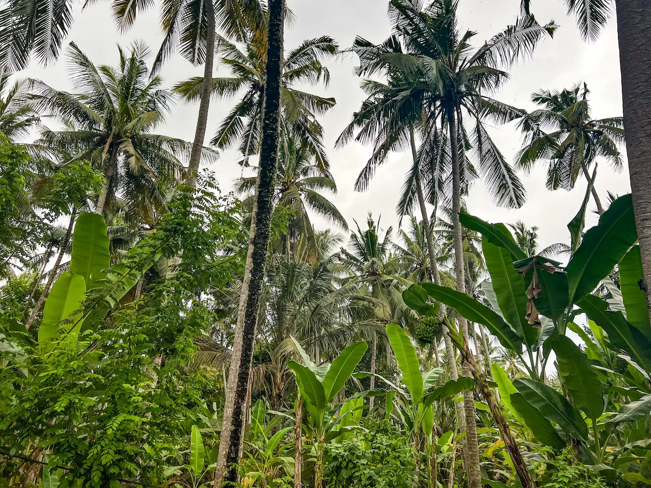Bali, Indonesia