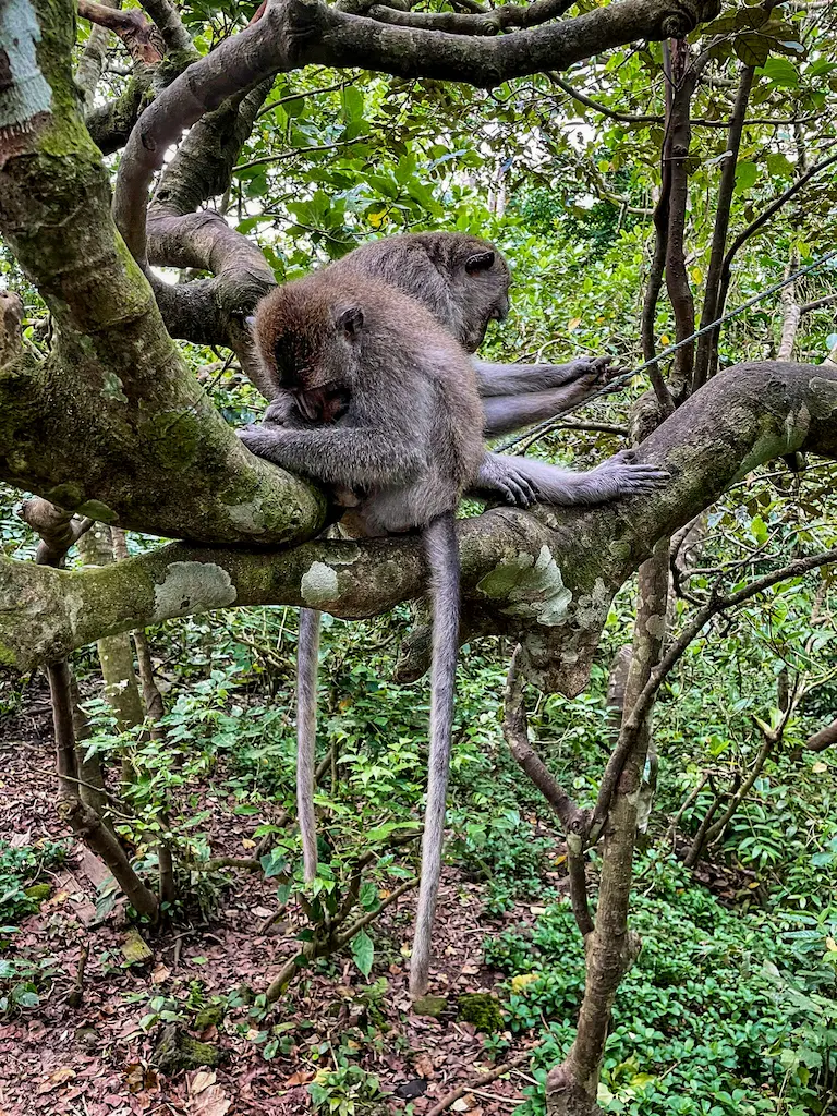 Bali, Indonesia