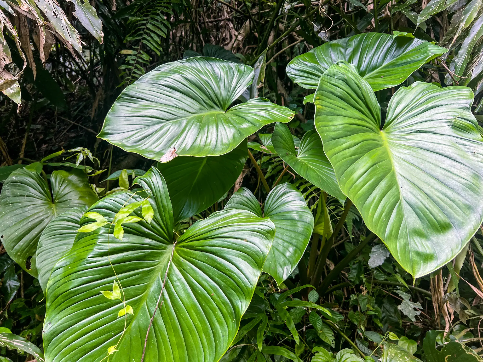 Bali, Indonesia