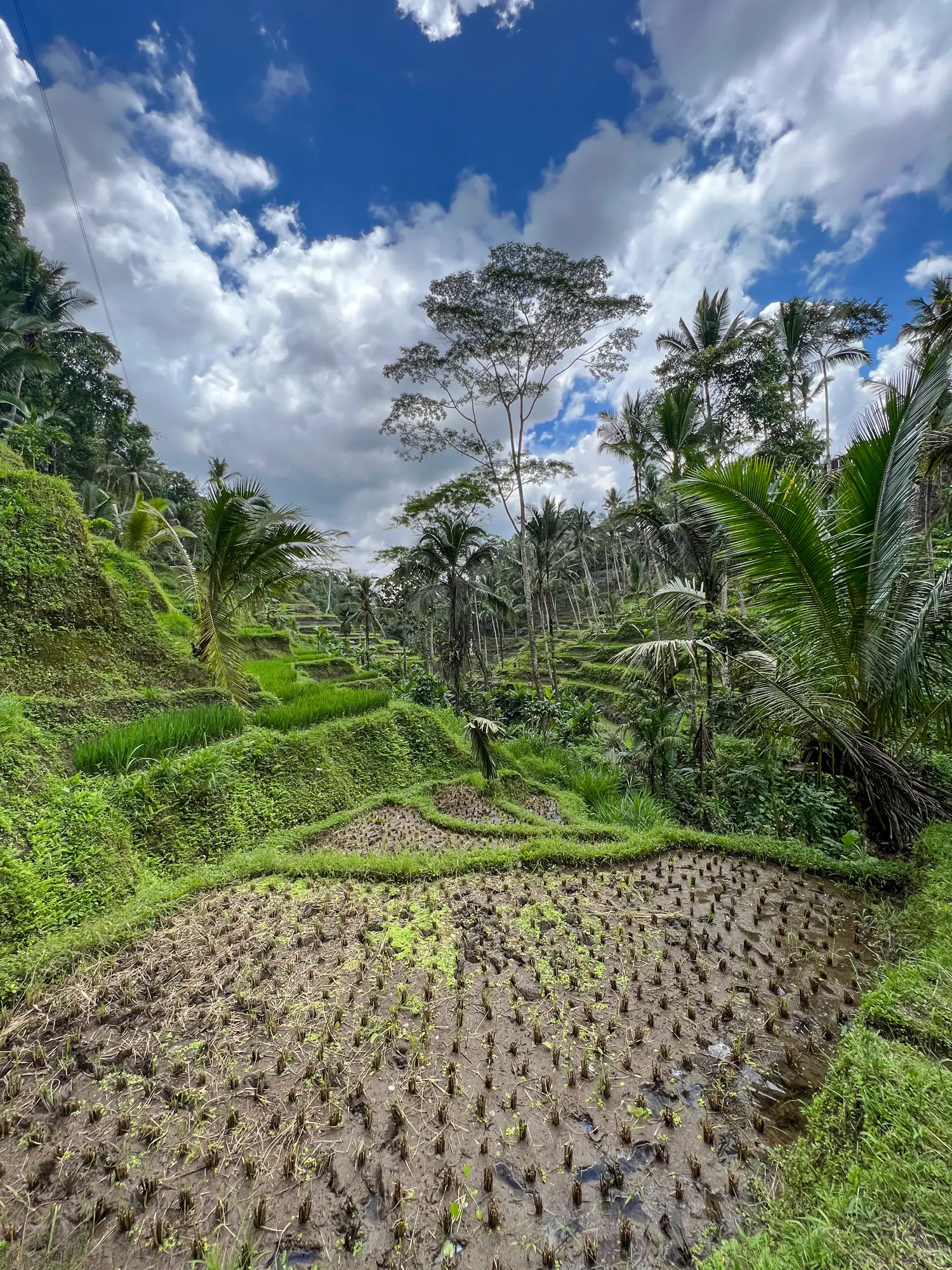 Bali, Indonesia