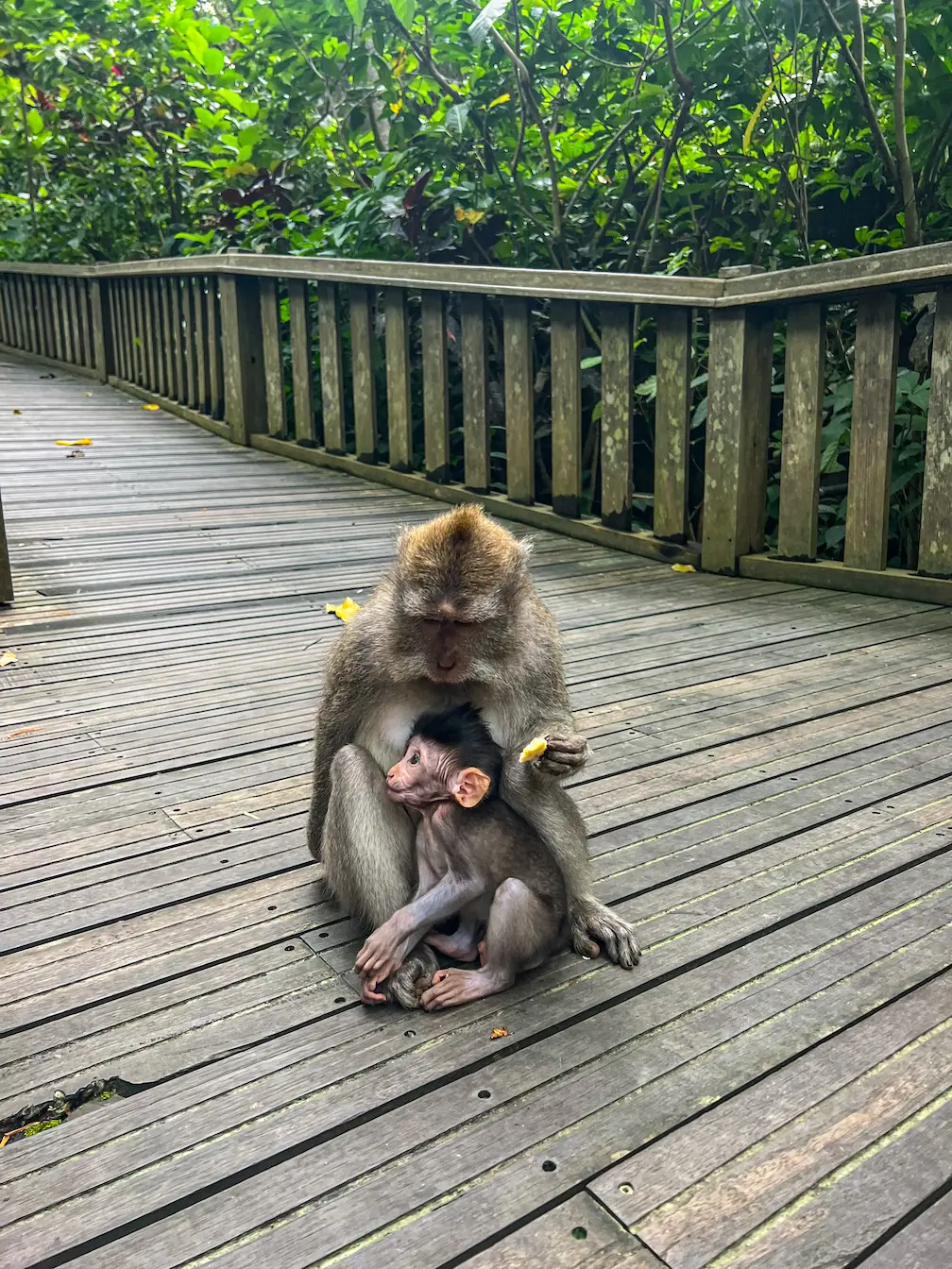 Bali, Indonesia